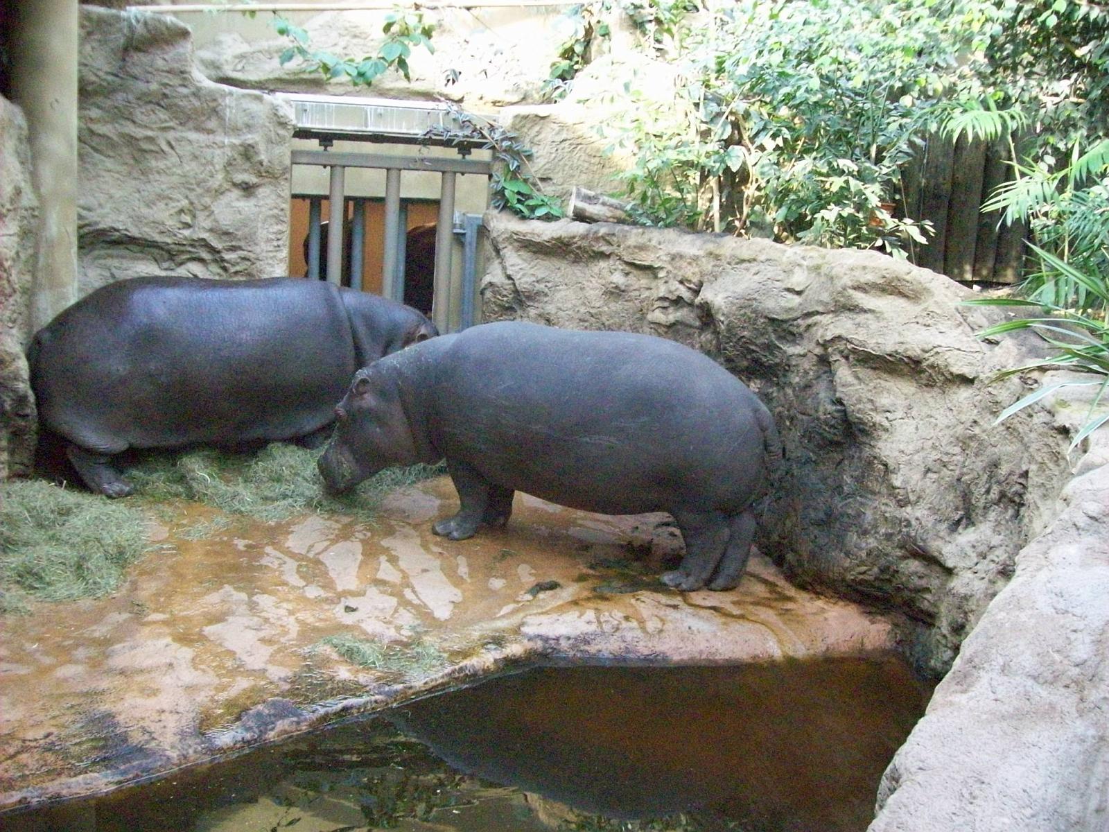 Zoom 18.10.2008-195.jpg